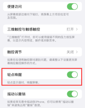 乐清苹果授权维修站分享iPhone轻点无法唤醒怎么办 