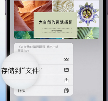 乐清apple维修中心分享iPhone文件应用中存储和找到下载文件