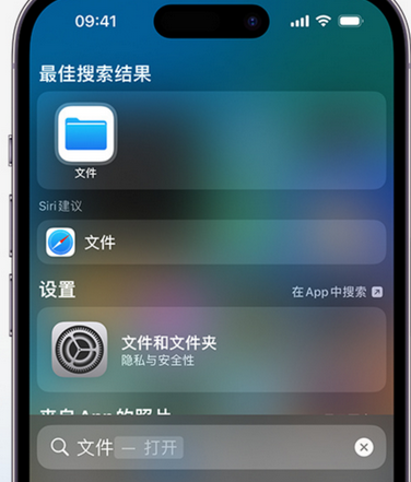 乐清apple维修中心分享iPhone文件应用中存储和找到下载文件 