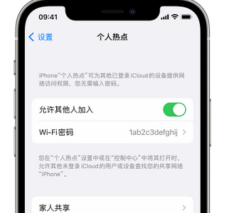 乐清apple服务站点分享iPhone上个人热点丢失了怎么办 