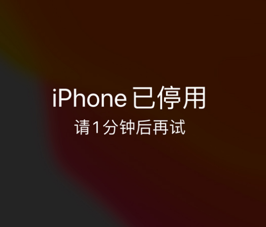 乐清苹果手机维修分享:iPhone 显示“不可用”或“已停用”怎么办？还能保留数据吗？ 