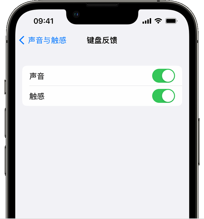 乐清苹果14维修店分享如何在 iPhone 14 机型中使用触感键盘 