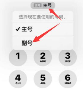 乐清苹果14维修店分享iPhone 14 Pro Max使用副卡打电话的方法 