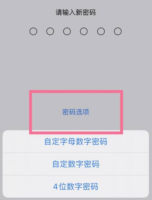 乐清苹果14维修分享iPhone 14plus设置密码的方法 