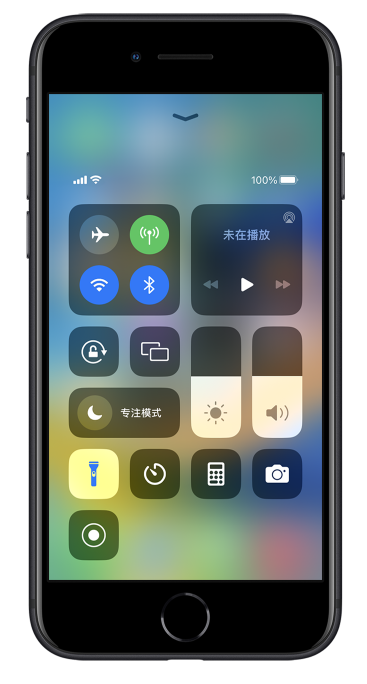 乐清苹果14维修分享苹果iPhone 14 Pro手电筒开启方法 