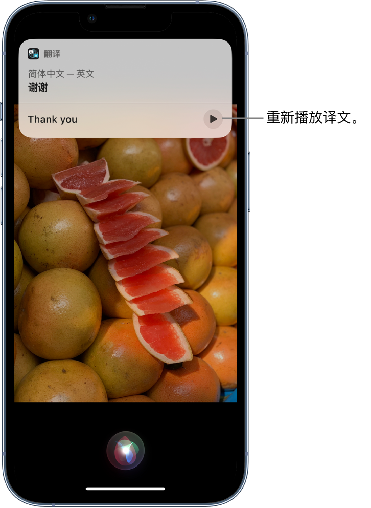 乐清苹果14维修分享 iPhone 14 机型中使用 Siri：了解 Siri 能帮你做什么 