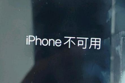 乐清苹果服务网点分享锁屏界面显示“iPhone 不可用”如何解决 