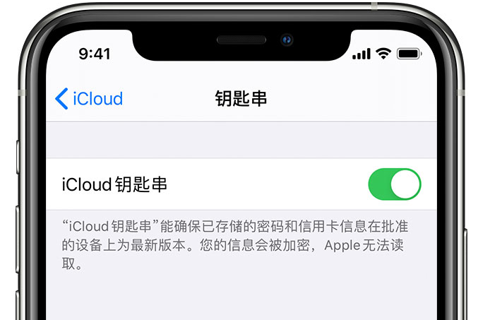 乐清苹果手机维修分享在 iPhone 上开启 iCloud 钥匙串之后会储存哪些信息 