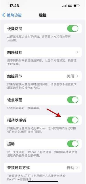 乐清苹果手机维修分享iPhone手机如何设置摇一摇删除文字 