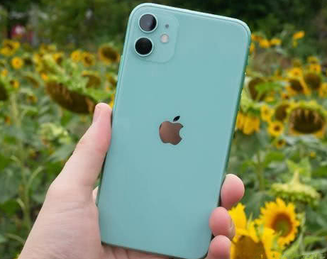 乐清苹果维修点分享iPhone 11锁屏密码认知与使用科普 