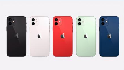 乐清苹果维修点分享iPhone 12锁屏密码系统机制科普 
