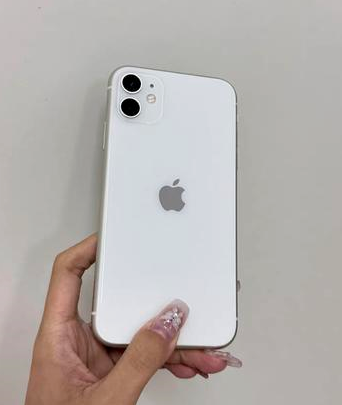 乐清苹果维修点分享iPhone 11黑屏特殊场景解析 